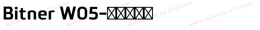 Bitner W05字体转换